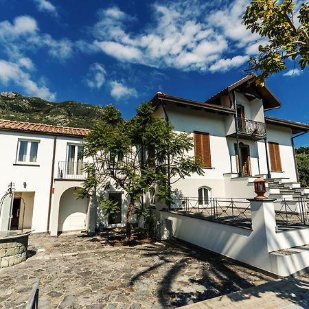 Tenuta Calitto Wine Resort E Spa Иския Екстериор снимка
