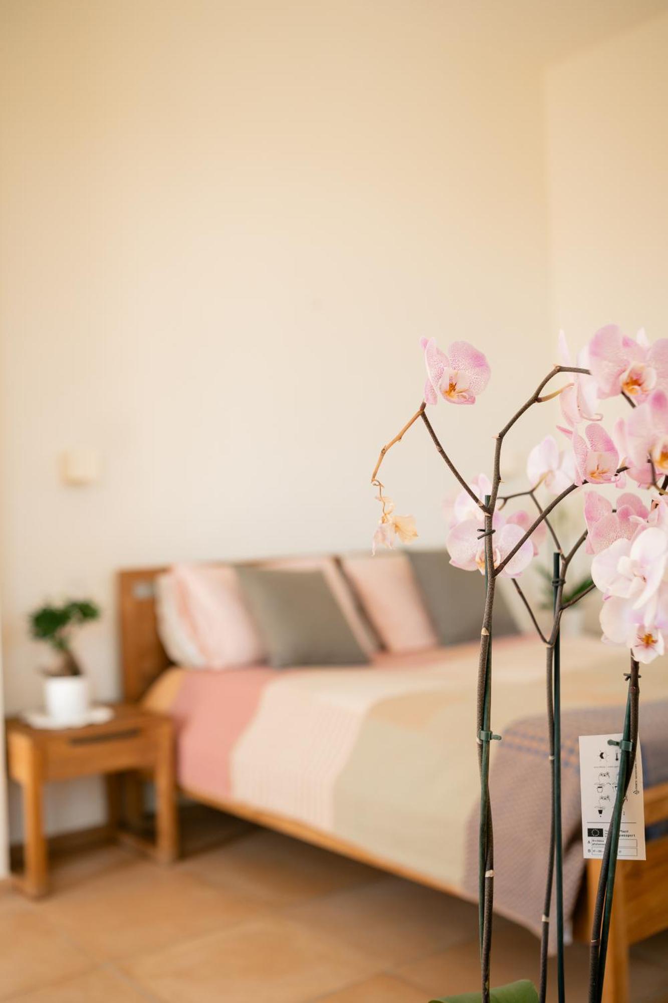 Tenuta Calitto Wine Resort E Spa Иския Екстериор снимка