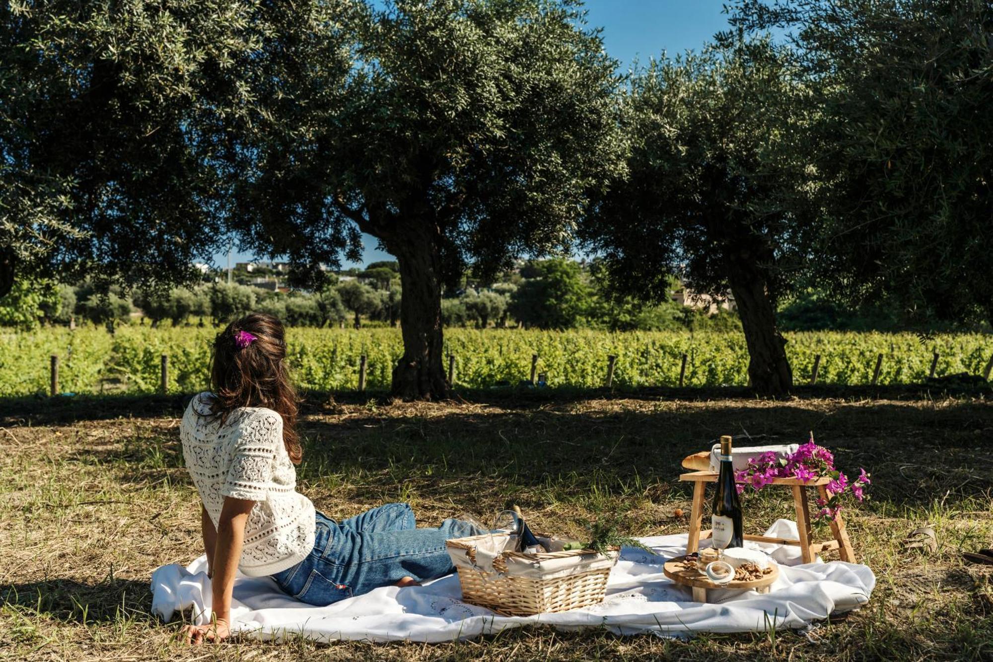 Tenuta Calitto Wine Resort E Spa Иския Екстериор снимка