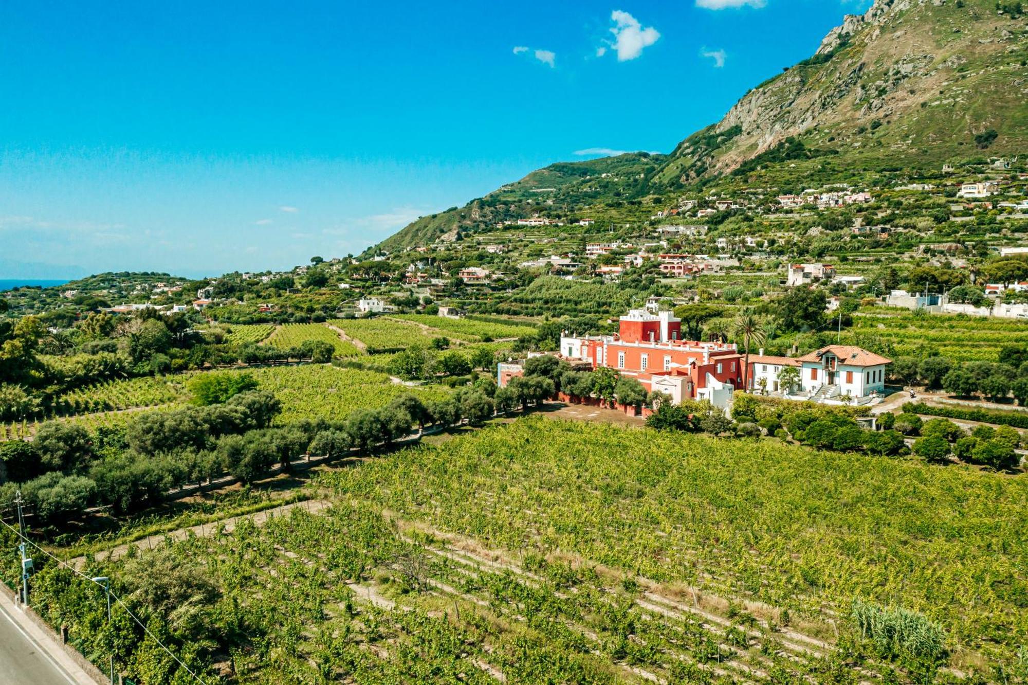 Tenuta Calitto Wine Resort E Spa Иския Екстериор снимка