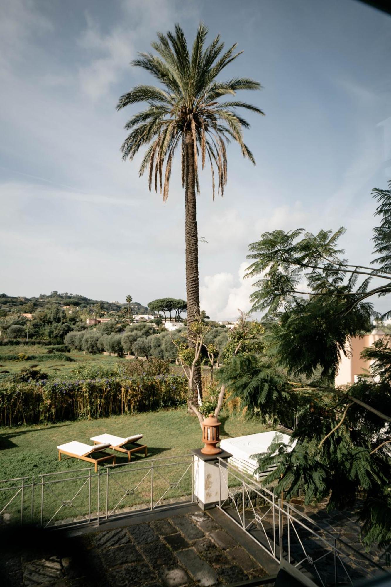 Tenuta Calitto Wine Resort E Spa Иския Екстериор снимка