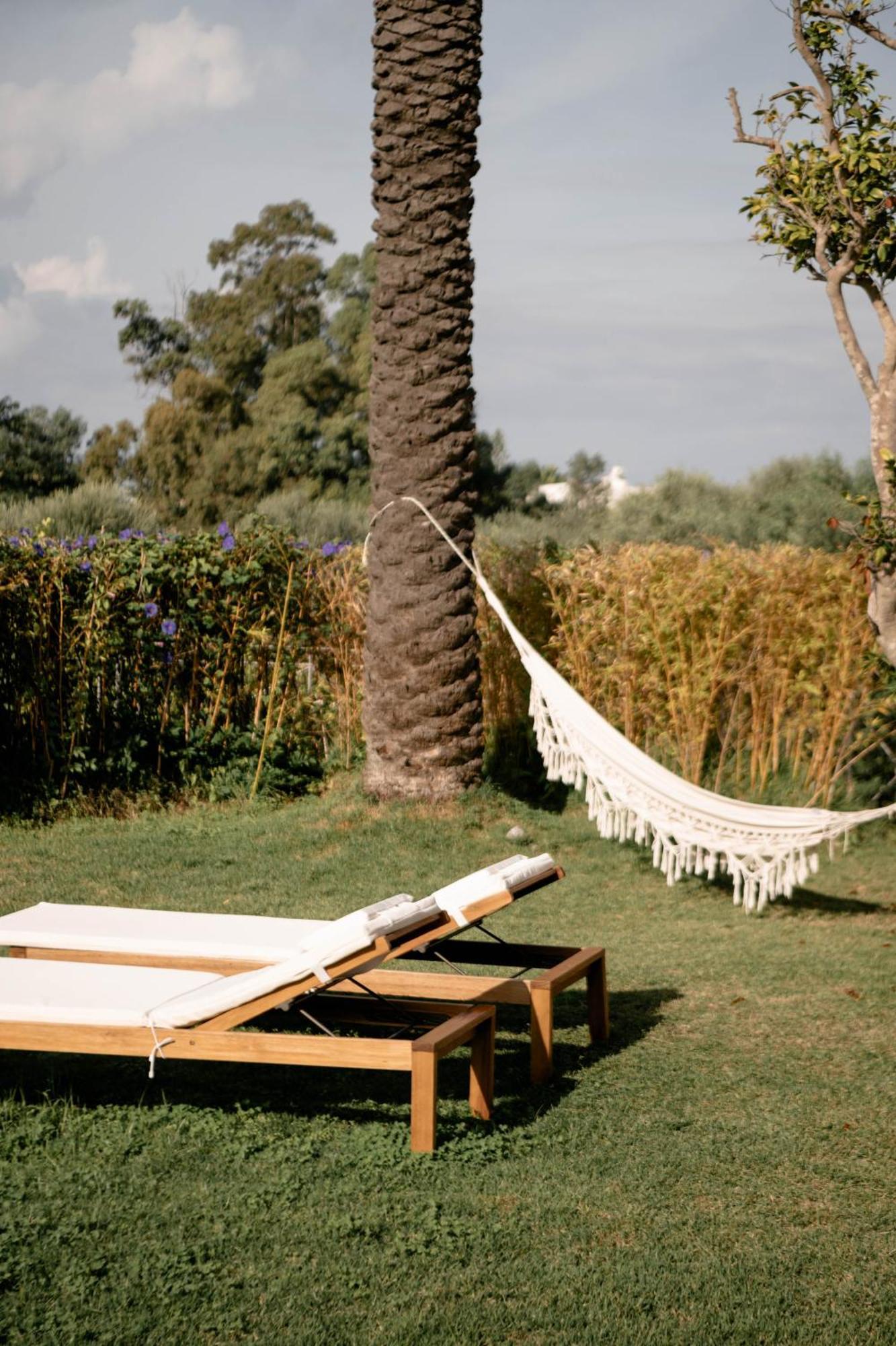 Tenuta Calitto Wine Resort E Spa Иския Екстериор снимка