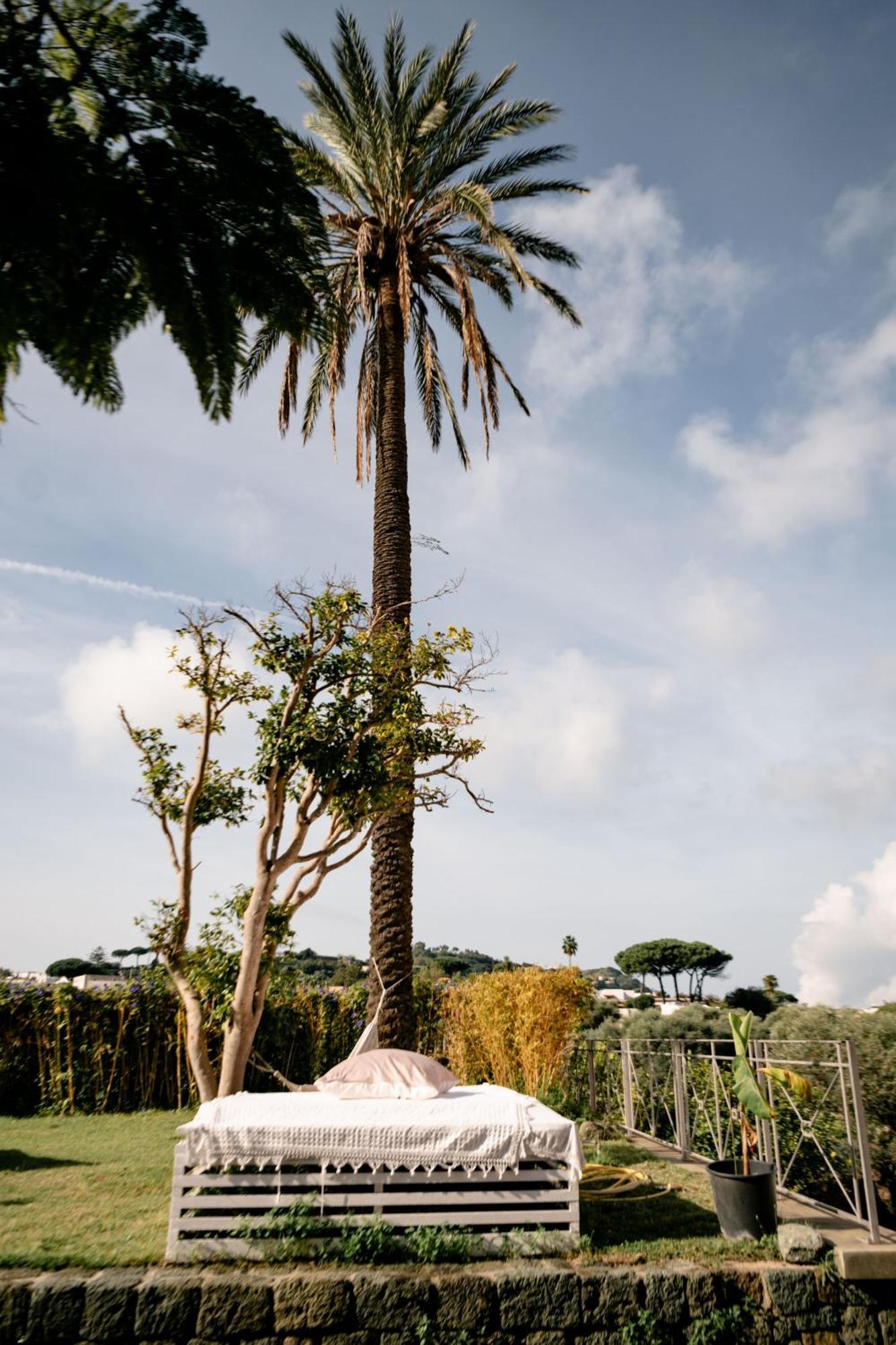 Tenuta Calitto Wine Resort E Spa Иския Екстериор снимка